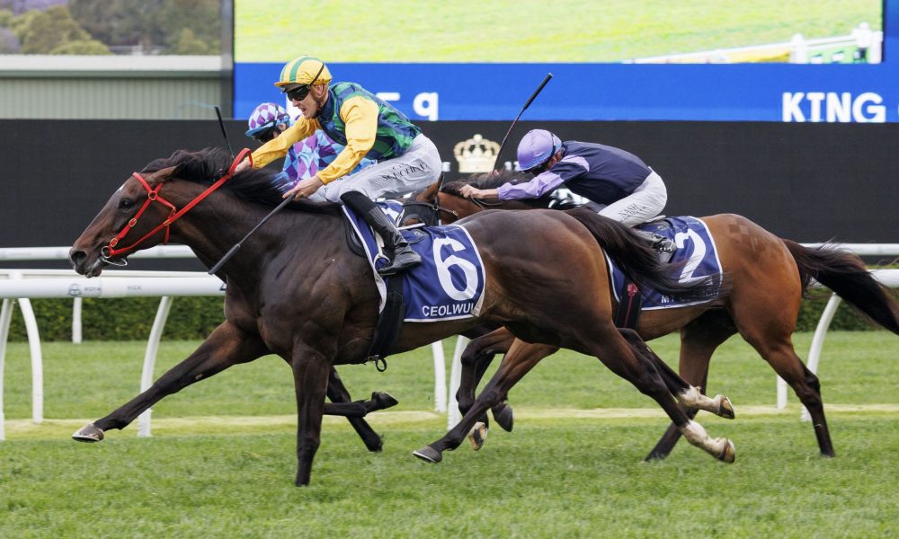 角色与责任 角色与责任