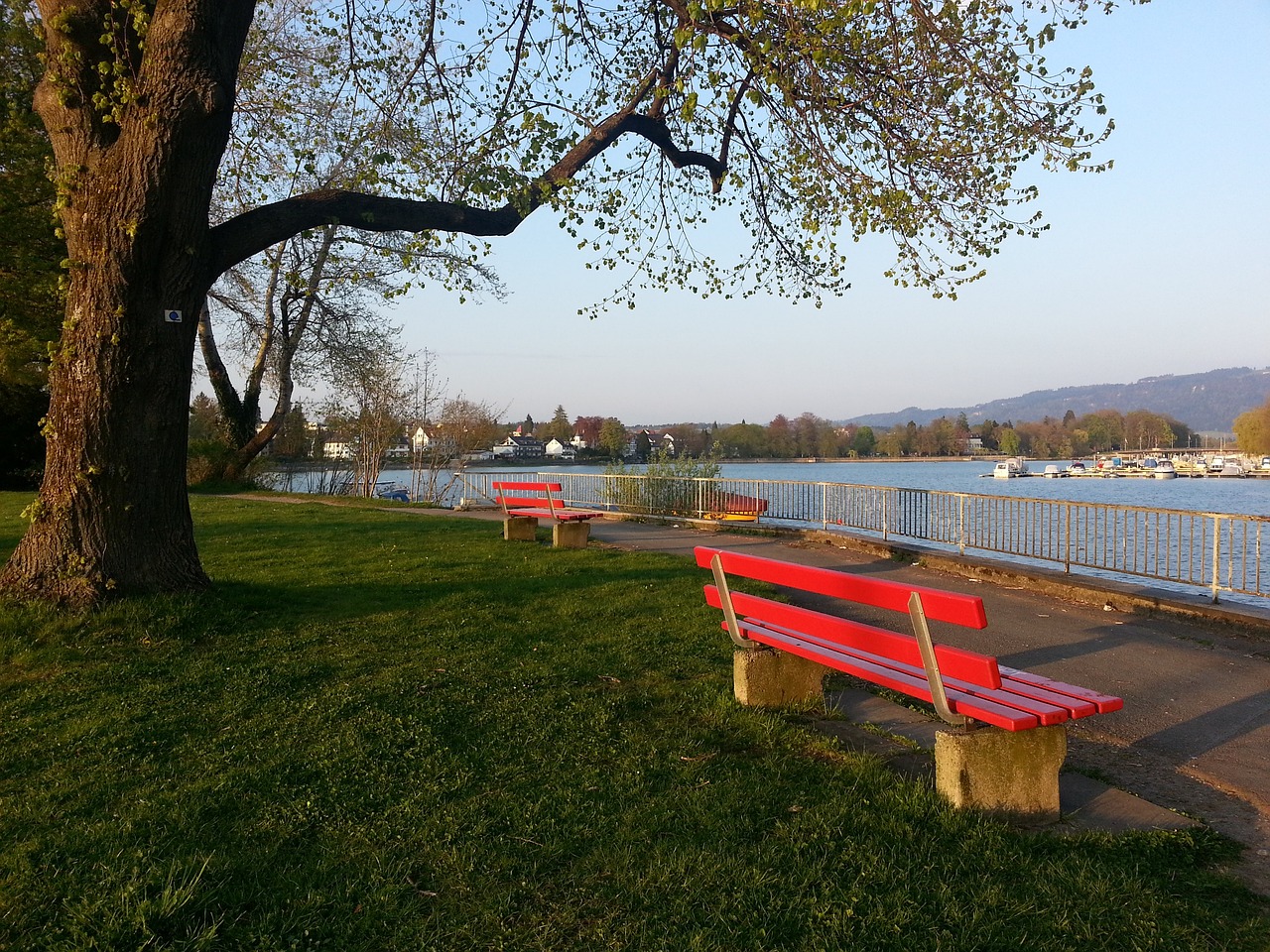 付额外的奖 付额外的奖