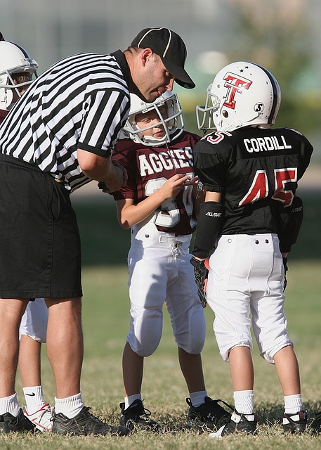 在除了球员 在除了球员