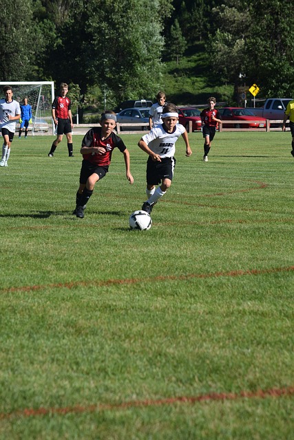 以往的比赛 以往的比赛