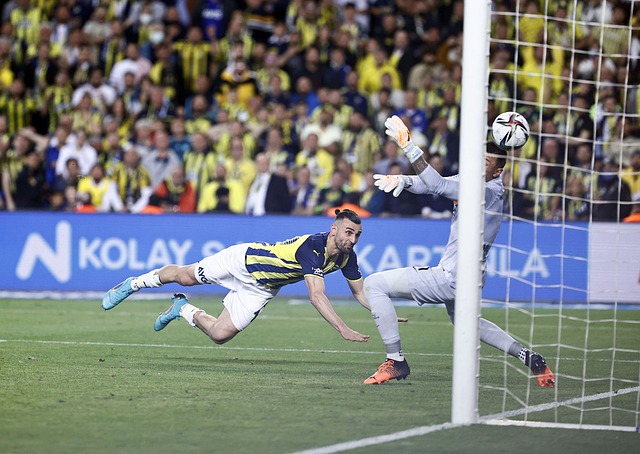 优秀球员的 优秀球员的