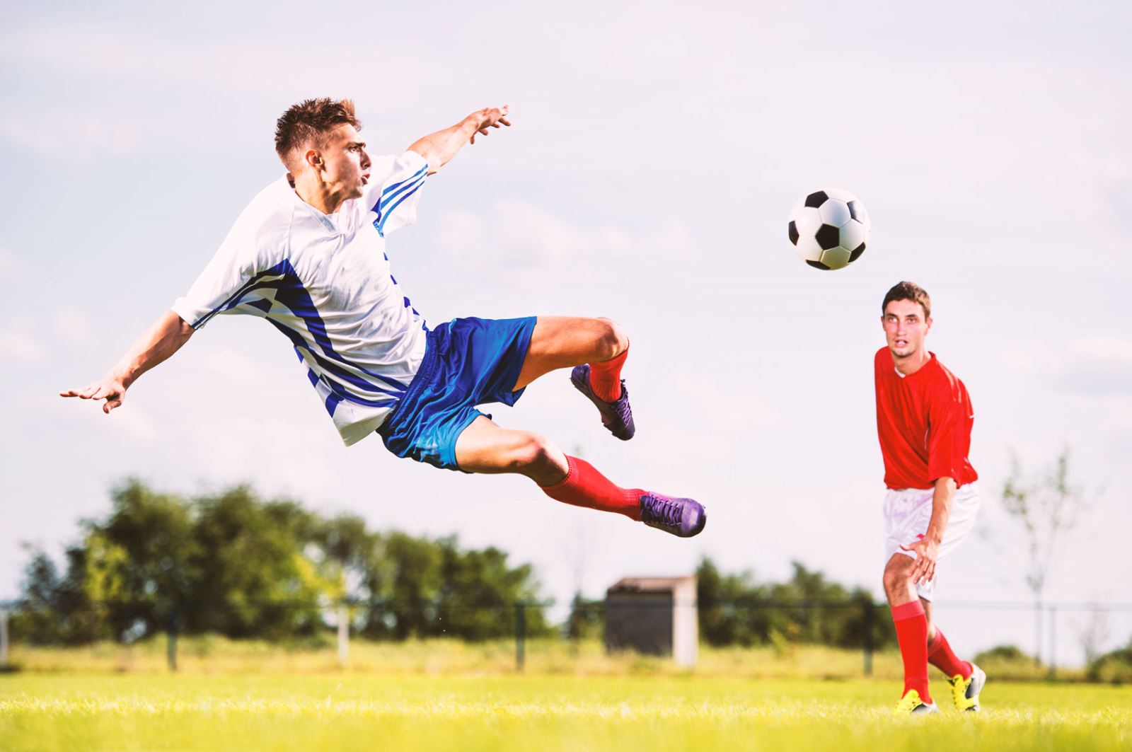 期待已久的 期待已久的